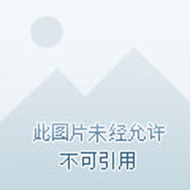 深圳商品批发行业的最新趋势与机遇